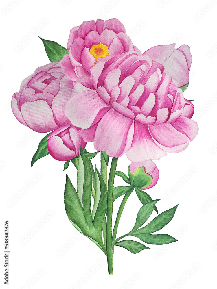 Bouquet with peonies watercolor illustration