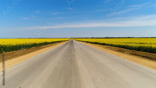 Aerial for the asphalt road between yellow fields on blue sky background. Shot. Stunning countryside landscape with a road and meadows with rapeseed flowers.