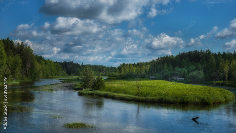 rivers and forests in the arkhangelsk region in summer, under a blue sky with olak rivers and forests in the arkhangelsk region in summer, under a blue sky with olak
