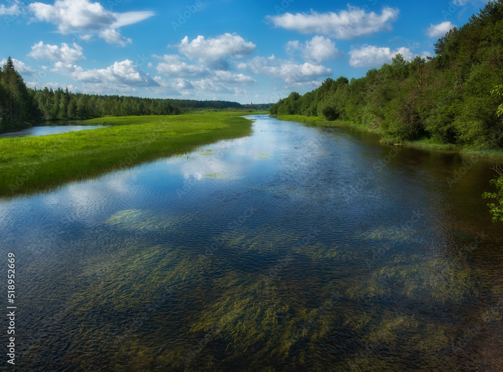 rivers and forests in the arkhangelsk region in summer, under a blue sky with olak, clear water with algae