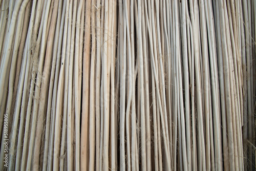 Rows and Rows of brown Jute Sticks Texture background of a field