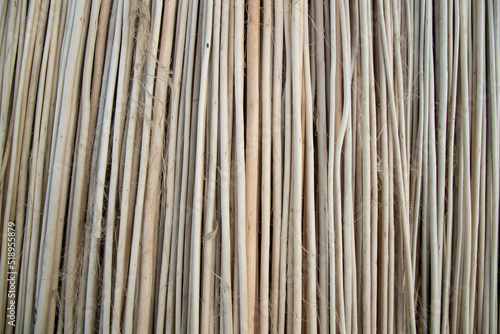 Rows and Rows of brown Jute Sticks Texture background of a field