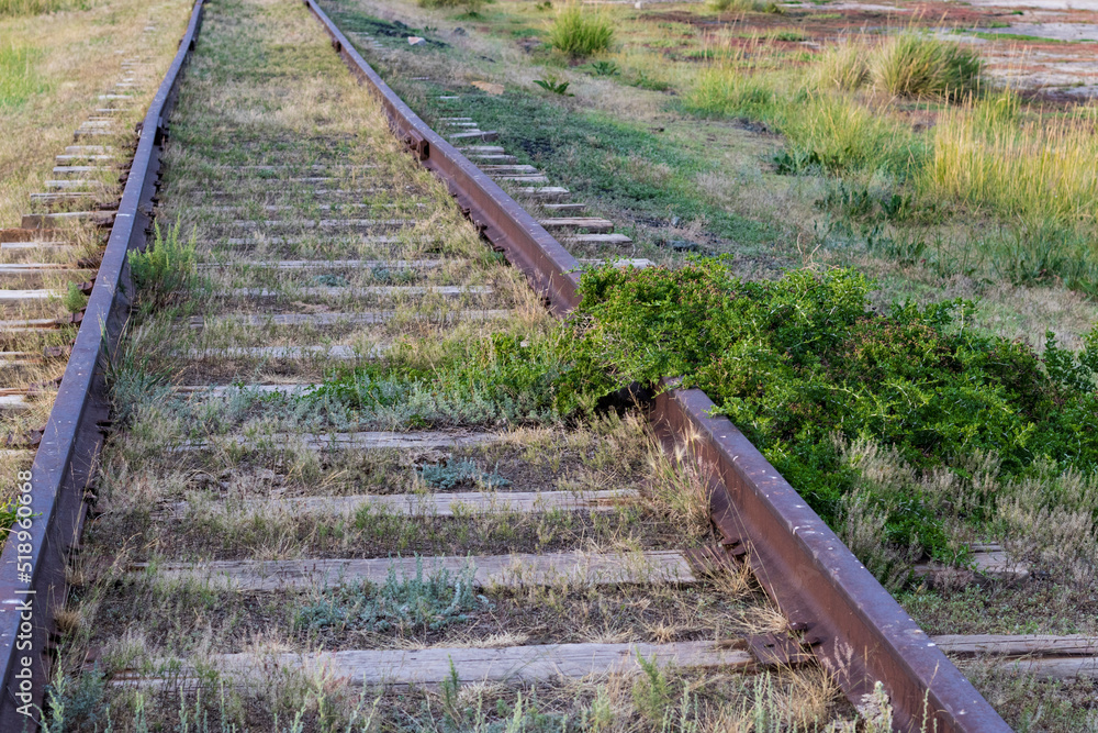 rusty railroad tracks with grass leading to a salt lake rusty railroad tracks with grass leading to a salt lake