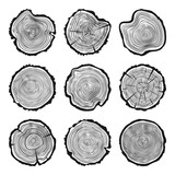 Round tree trunk cuts with cracks, sawn pine or oak slices, lumber. Saw cut timber, wood. Wooden texture with tree rings. Hand drawn sketch. Vector illustration
