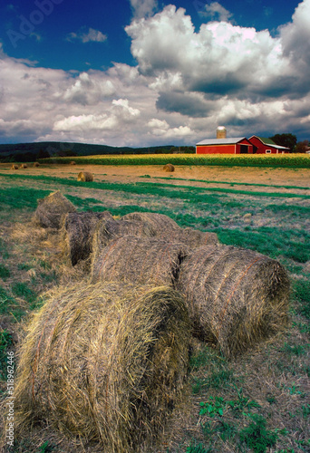 Baled Straw in Field. South Bristol, New York.