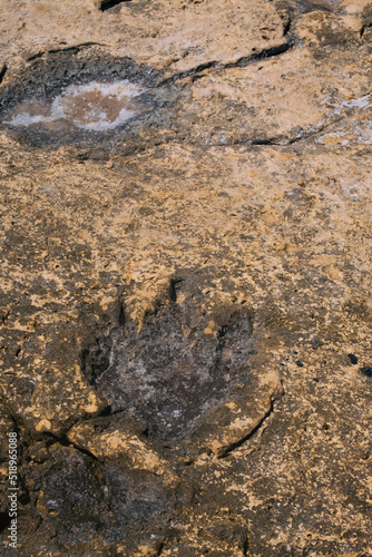 Preserved signs of prehistoric Jurassic period - dinosaur foot track in stone 