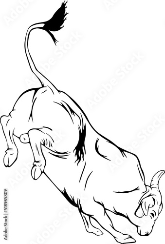 Rodeo bull bucking outline vector illustrations isolated on white background 