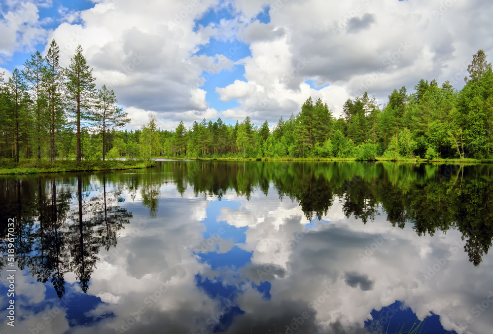 Fototapeta premium Quiet smooth beautiful lake in Karelia. Cloudy blue sky. Forest with trees and fir-trees.