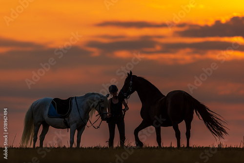 silhouette of a woman, she has two horses with her, a black and a white