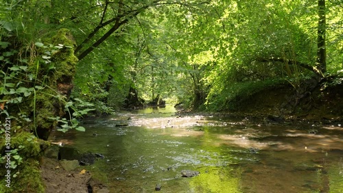 Creek (Duessel) in the forest, shot with camera crane, Germany photo
