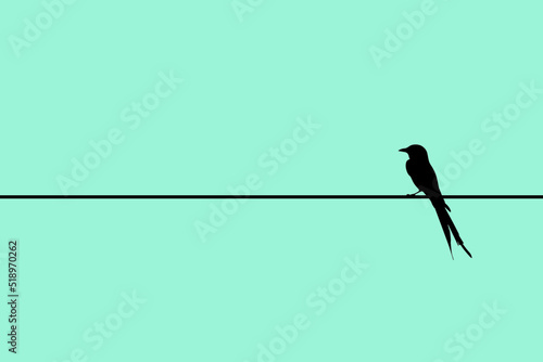 Minimalistic bird silhouette, Bird on a wire vector illustration. Birds Silhouette, Alone birds sitting on a wire, isolated.