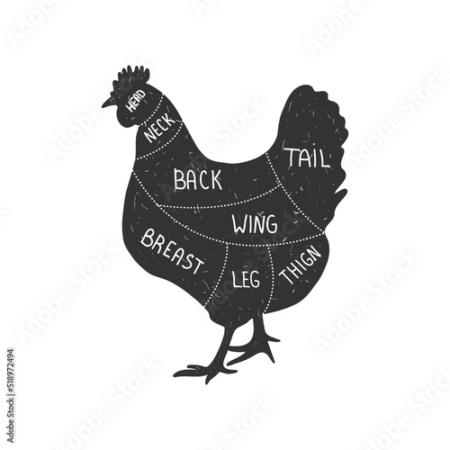 Chicken silhouette. Hung cut. Retro animal farm poster for a butchery meat shop