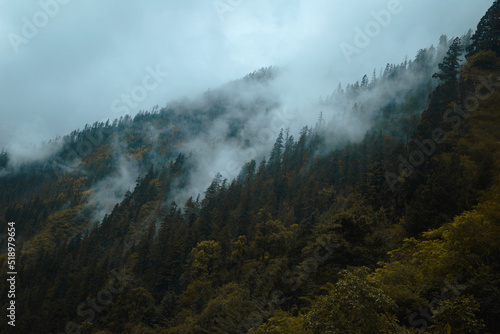 mist in the mountains © Ashok J Kshetri