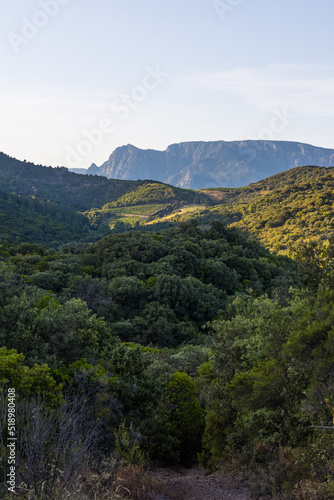 Montagnes et forêt du Parc naturel régional du Haut-Languedoc depuis le hameau de Ceps à Roquebrun
