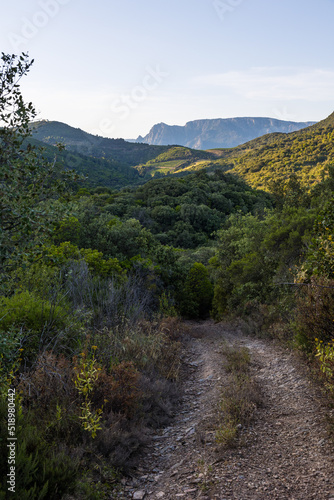 Montagnes et forêt du Parc naturel régional du Haut-Languedoc depuis le hameau de Ceps à Roquebrun
