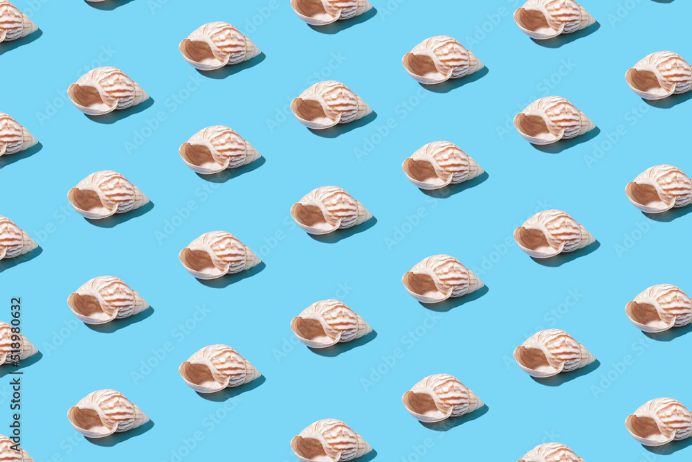 Creative pattern of seashells on a blue background Creative pattern of seashells on a blue background