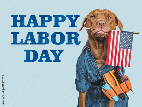 HAPPY LABOR DAY. Lovable, pretty brown puppy and hand tools. Closeup, indoors. Studio photo. Congratulations for family, relatives, loved ones, friends and colleagues. Pet care concept