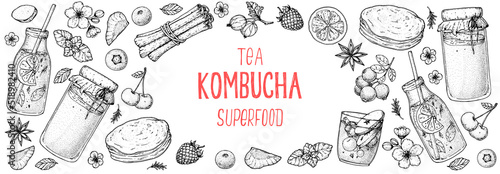 Kombucha tea and ingredients for kombucha sketch. Hand drawn vector illustration. Kombucha drink. Tea mushroom, tea fungus, or Manchurian mushroom.