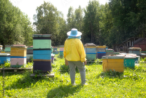 Apiary with beehives in the summer in a clearing..Beekeeper and beekeeping. © Александр Поташев