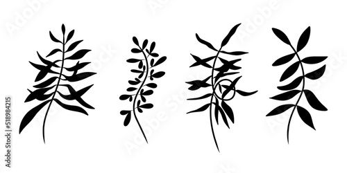 Leaf. Leaves silhouette. Minimalistic abstract boho outlines branch leaf. Flower and plant. Element for abstract poster. Vector illustration isolated on white background. 