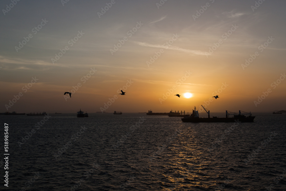 Sea sunset. Silhouettes of flying birds and ships in the sea bay.