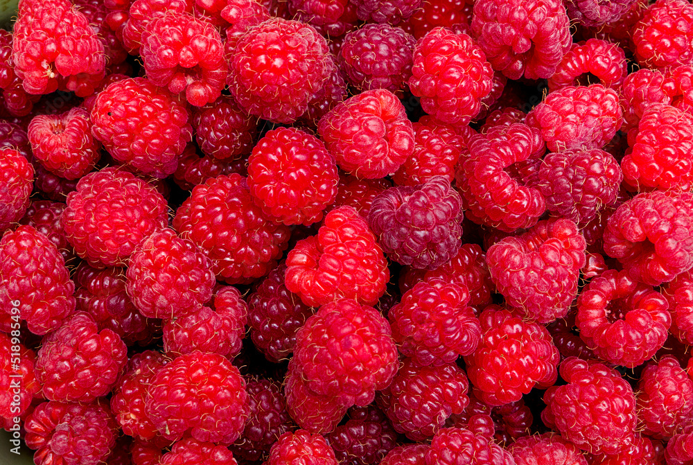 red delicious raspberries backgrounf red delicious raspberries backgrounf