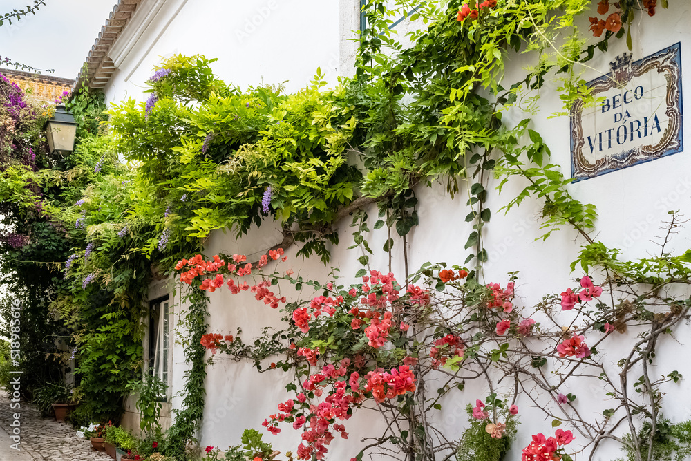 Cascais, small city in Portugal, typical street with flower houses
