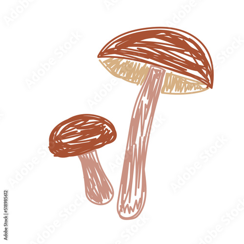 Boletus mushrooms. Hand drawn vector illustration. Pen or marker doodle sketch