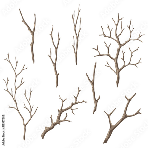 Set of dry bare branches. Decorative natural twigs.
