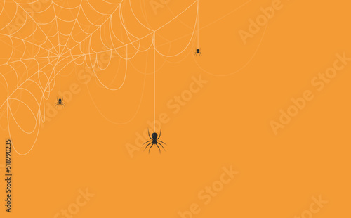 Fotografering Halloween background concept. Spider and cobweb background