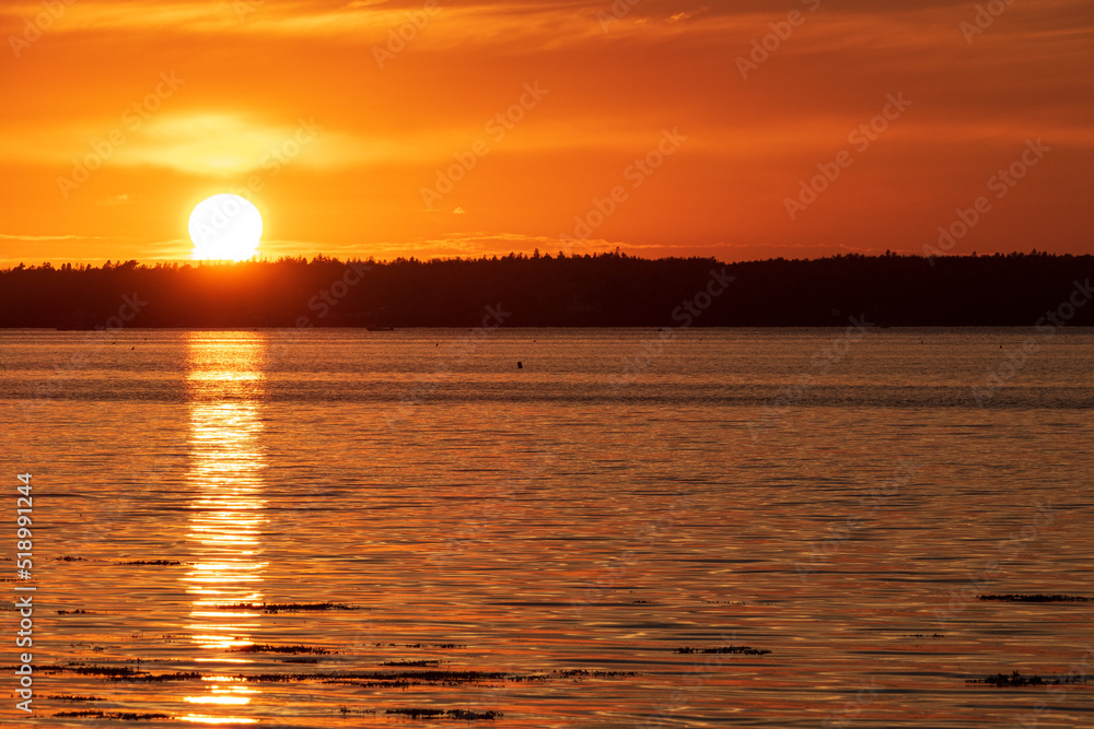Naklejka premium sunset over the river