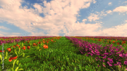 Colorful flowers and radiant sky