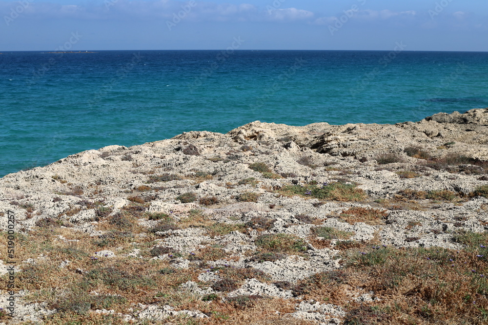 Rocky shore of the Mediterranean Sea in northern Israel. Rocky shore of the Mediterranean Sea in northern Israel.