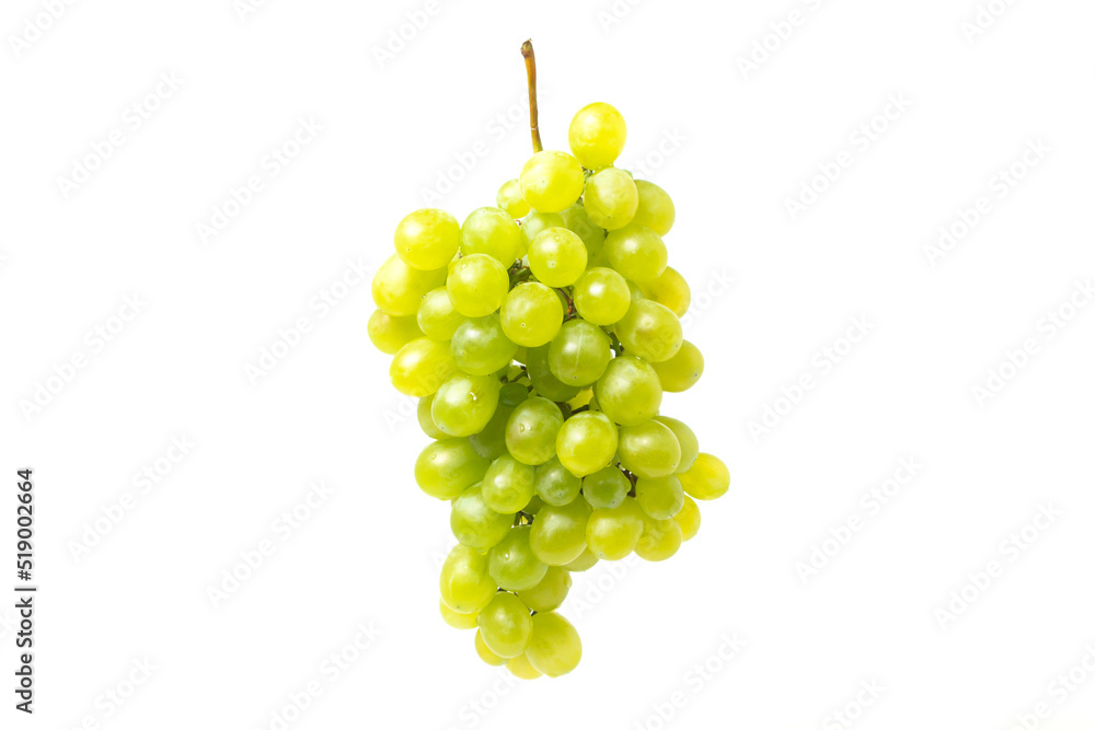 White grape isolated on white background. Grape sort. Delicious and healthy fruit White grape isolated on white background. Grape sort. Delicious and healthy fruit