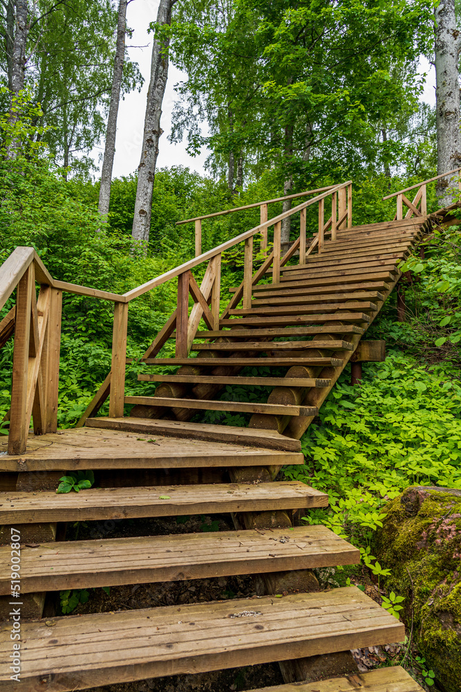 Forest Trail with Many Steps Up