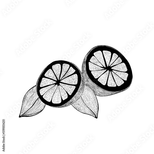 Set Hand drawn lemons with leaves: lemon wedges, half a lemon. Citrus organic...