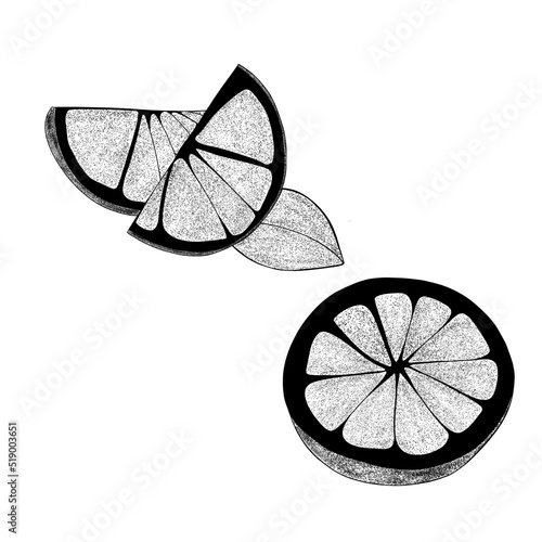 Set Hand drawn lemons with leaves: lemon wedges, half a lemon. Citrus organic...