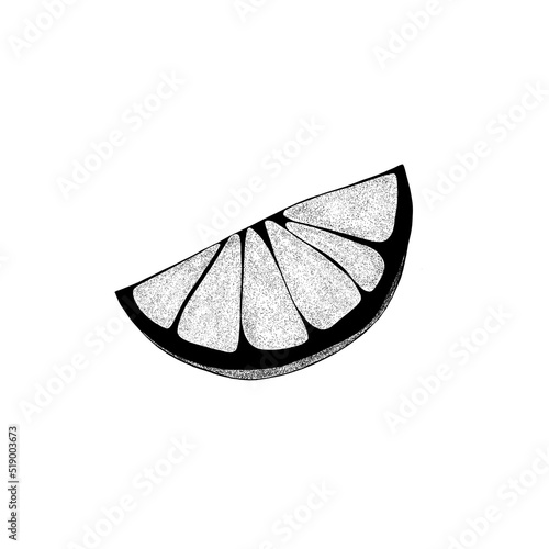 Hand drawn a slice of lemon. Citrus organic slice illustration on white backg...