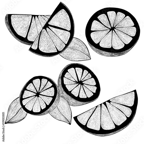 Set Hand drawn lemons with leaves: lemon wedges, half a lemon. Citrus organic...