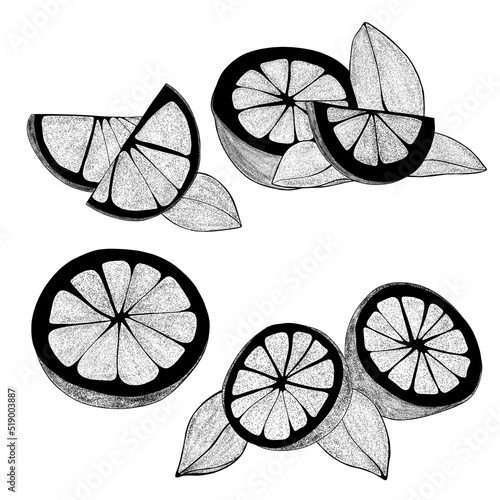 Set Hand drawn lemons with leaves: lemon wedges, half a lemon. Citrus organic...