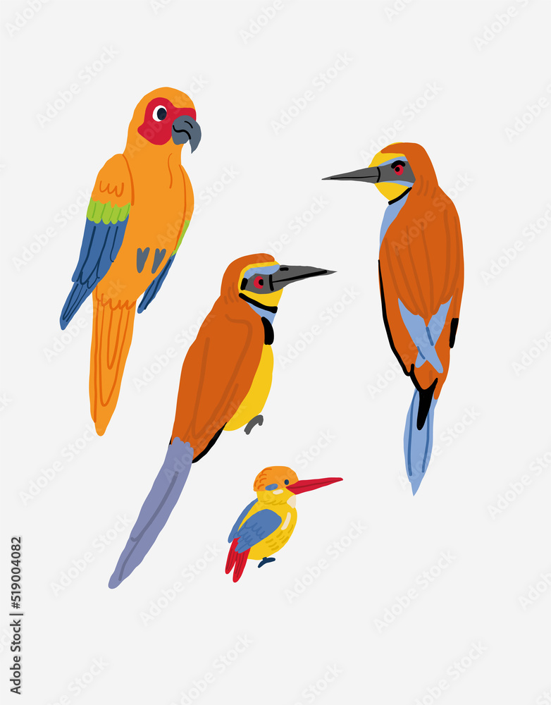 Obraz premium Vector set of cute colorful birds on white background. Tropical birds