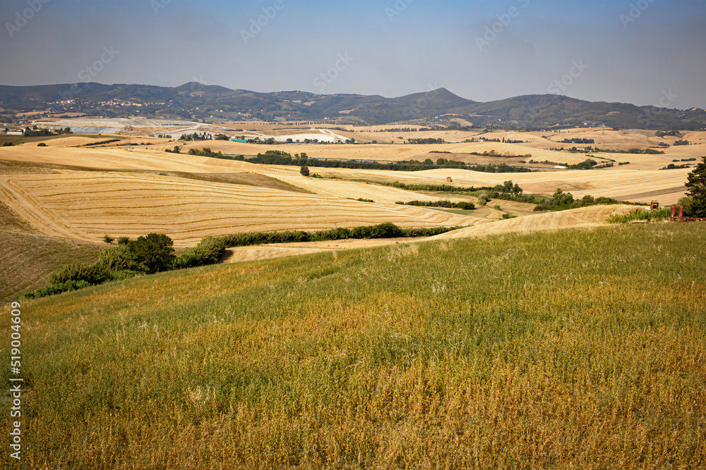 Tuscany landscape, hills fields, mountains, grass, hay