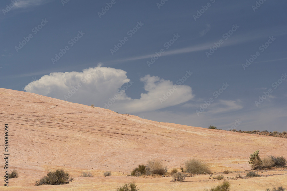 Naklejka premium state desert landscape