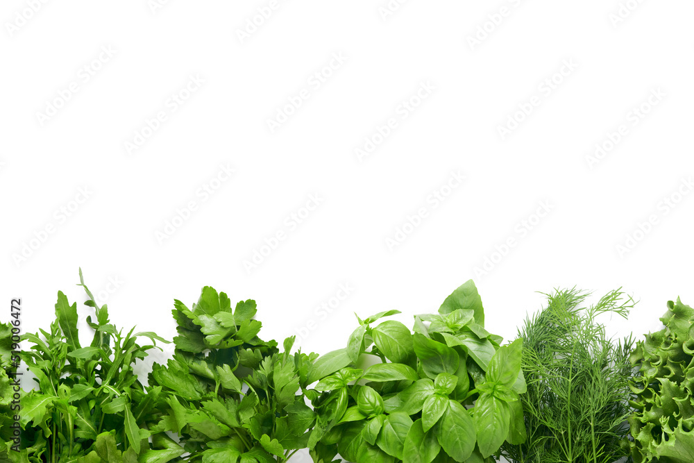 Obraz premium Fresh green herbs. Frame of fresh basil, dill, sage, parsley, arugula on white background. Healthy food. Top view. Mock up. Copy space.
