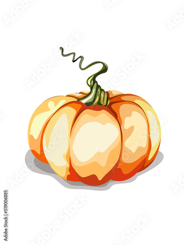 Juicy orange autumn pumpkin with a green stem.