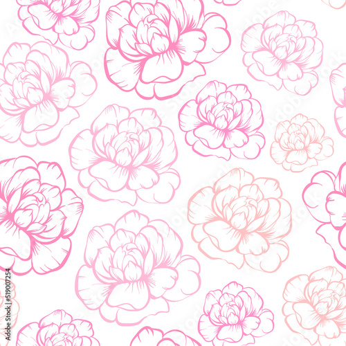 Seamless vector pattern, hand drawn outline pink Peony flowers on white background.