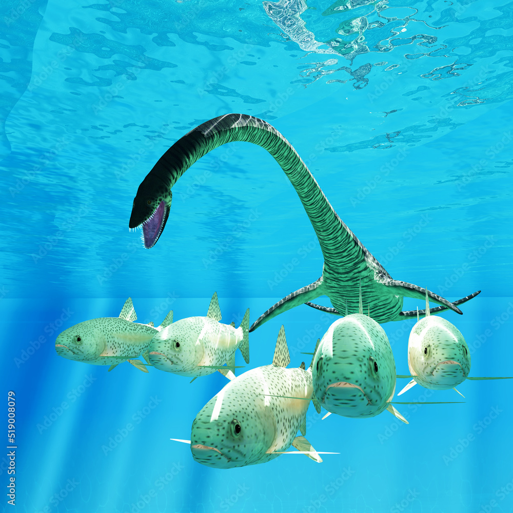 Elasmosaurus hunts Sea Trout - Sea Trout fish scatter as an