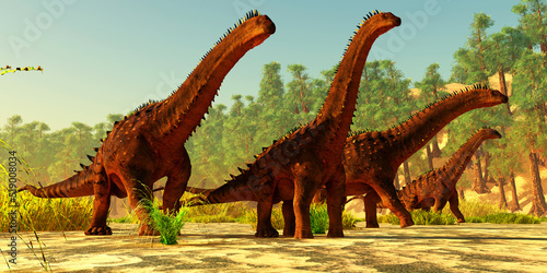 Alamosaurus Misty Day - A herd of Alamosaurus sauropod dinosaurs walk together on a Cretaceous day of North America.