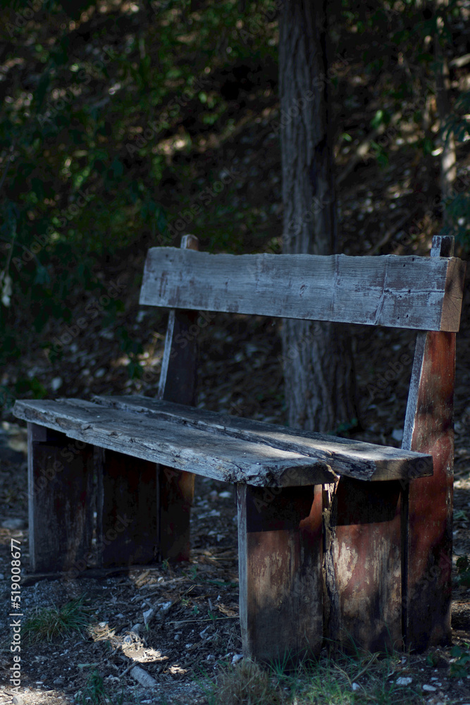 an old wooden bench immersed in a green and peaceful landscape an old wooden bench immersed in a green and peaceful landscape