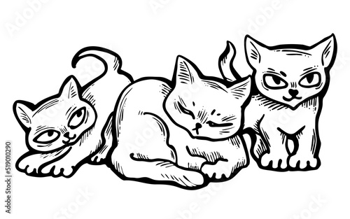 Cute cats friends sitting together. Decorative border  banner  postcard  poster print for kids room or birthday. Logo design for veterinary. Hand drawn illustration. Cartoon style character drawing.